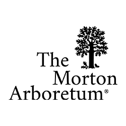 The Morton Arboretum
