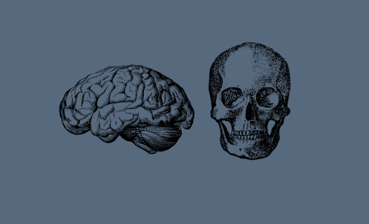 Icon sketches of a brain and a skull stacked one below the other against a deep purple background